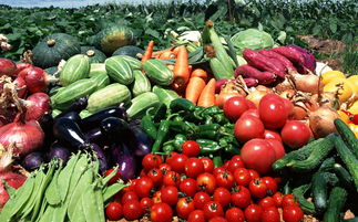 群英薈萃農產品營銷策劃 農產品這么做,讓你事半功倍