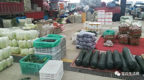 寶應鄉(xiāng)土人才齊力擔當戰(zhàn) 疫 情