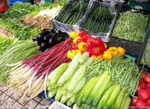 青島氣溫升高菜價持續回落，家禽供應平穩價格企穩